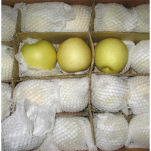 Chinese Golden Pear/Crown Pear Good Quality and Price