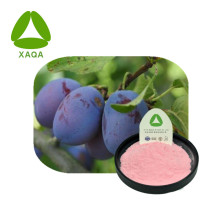 Dark Plum Fruit Powder Halal Organic Pure Natural