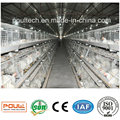 Hot Sale Poultry Farm Equipment Layer Broiler Pullet Poulet Cages