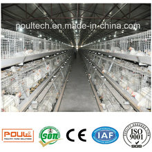 Hot Sale Poultry Farm Equipment Layer Broiler Pullet Chicken Cages