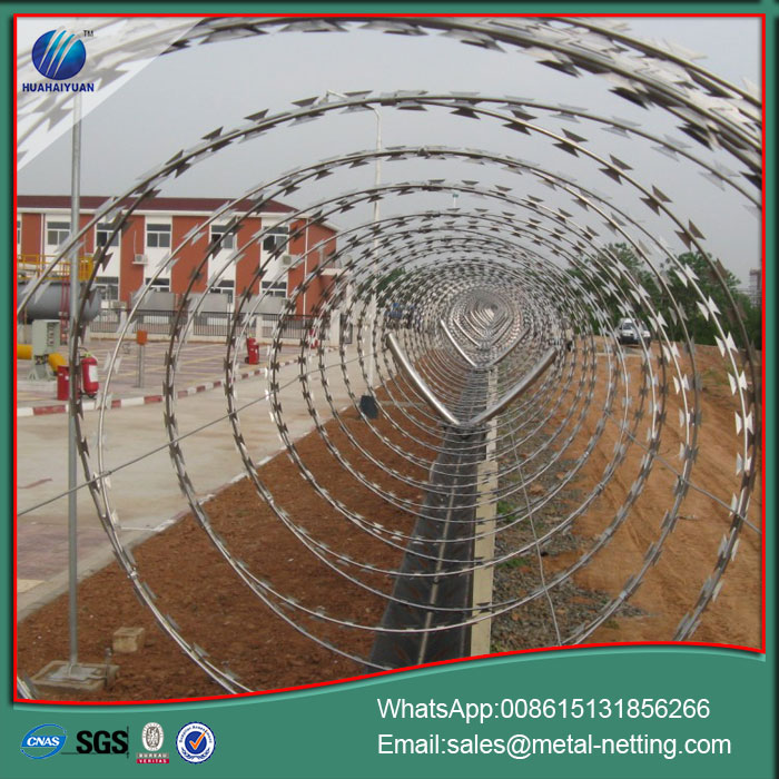 Concertina Razor Wire