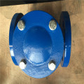 Swing Check Valve