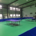 Andar de tênis de mesa de vinil Enlio com ITTF