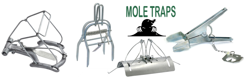 mole trap2