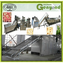 Hot Sale Dried Apple Chips Production Line