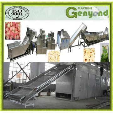 Full Automatic Small Fruit Drying Machine