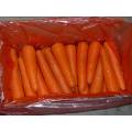 Loosing Packing/New Fresh Carrot