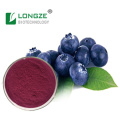 Factory Supply bilberry fruit powder