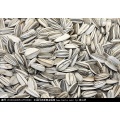 Tasty Dry Sunflower Seeds