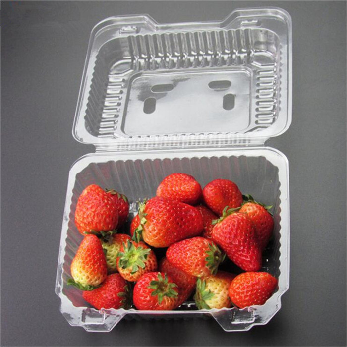 Plastic Packing Strawberry Container