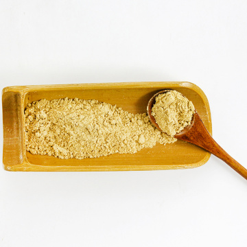 Turmeric Powder Ginger Powder