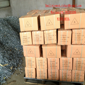 Umbrella Head Roofing Nail Galvanized Roofing Nail China Factory