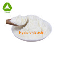 Poudre cosmétique de hyaluronate de sodium d&#39;acide hyaluronique 9004-61-9