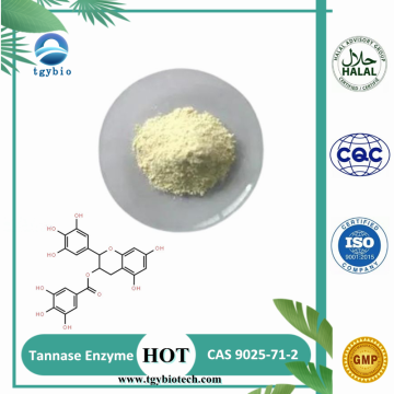 Melhor Preço Alimentar Tannase Enzyme CAS 9025-71-2