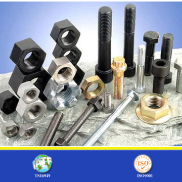 China Bolt and Nut at Best Price