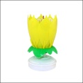 Flower Birthday Party Music Candle