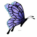 Sexy Adult Body Butterfly Tattoo Stickers