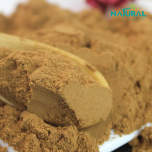 buy factory dried ginger extract powder