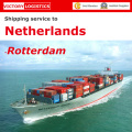 Contenedor de logística de China a Holanda