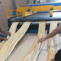 Steam and Gas Dryers Used for Veneer Drying