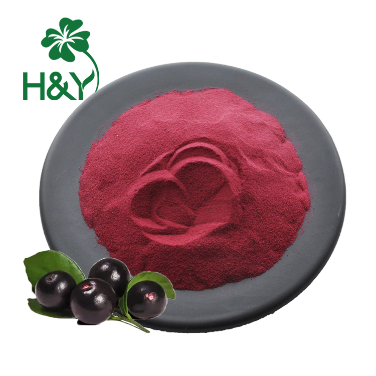 Acai Berry Freeze Dried Powder Y