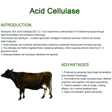 Acid Cellulase for improves animal`s digestibility