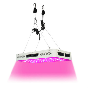 Full Spectrum Led Grow Light With Best Price