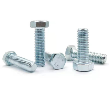 WZP Stainless customized Hex Bolt