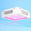 Las mejores luces de cultivo led para hierbas