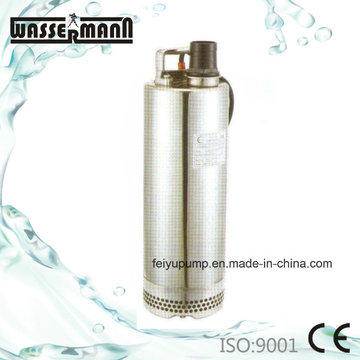 304 (ALL STAINLESS STEEL) Rinsing Submersible Pump