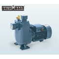 Self-Priming Centrifugal Pump