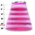 300 / W600W / 900W / 1200W / 1500W LED Grow Grow Light Spectrum complet