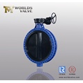 Fully Rubber Coated Double Flange Butterfly Valve