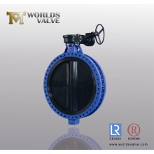 Fully Rubber Coated Double Flange Butterfly Valve
