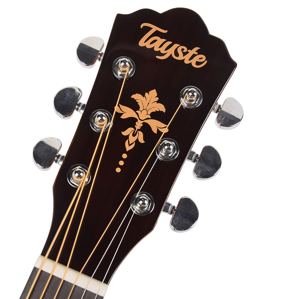 Ts66 Semi Guitar Acoustic Ts66 Semi Guitar Acoustic