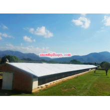 Steel Structure Chicken House with Low Price and High Quality From Manufacturer