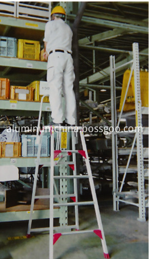 working platform ladder use DXG