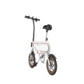 12'' 350W Light weight Adult Foldable Electric Bike