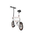 12 '' 350W Adult Foldable Pedal Assist E-Bike