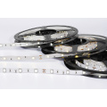 Decoration 24V LED Rope Light, Multicolor LED Strip RGB 5050 with Ce RoHS