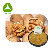 Supplements And Health Walnut Shell Extract Powder