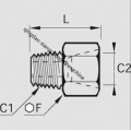 Brass Male BSPT To Female NPT Adaptor