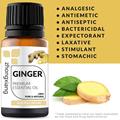 100% pure ginger essential oil for body care