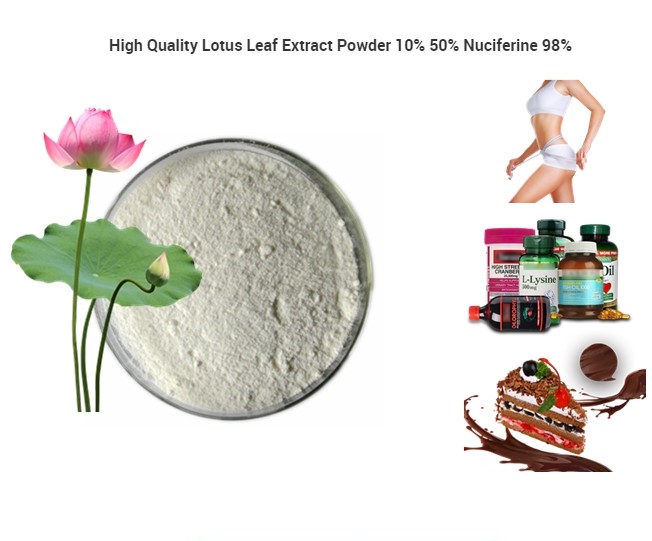 Lotus leaf extract