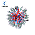 WS2811 12MM Guirlande Lumineuse LED polychrome