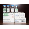 Amikacin Injektion 100mg / 2ml, 500mg / 2ml &amp; Actd / Ctd Dossier von Amikacin