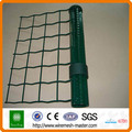 2015 China galvanized holland wire mesh