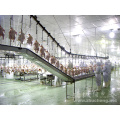 Automatic Poultry Slaughter Machinery for Broiler