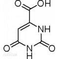 Acide Orotique de haute qualité (N ° CAS 65-86-1)