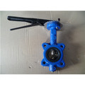 Ductile Iron Lug Type Butterfly Valve